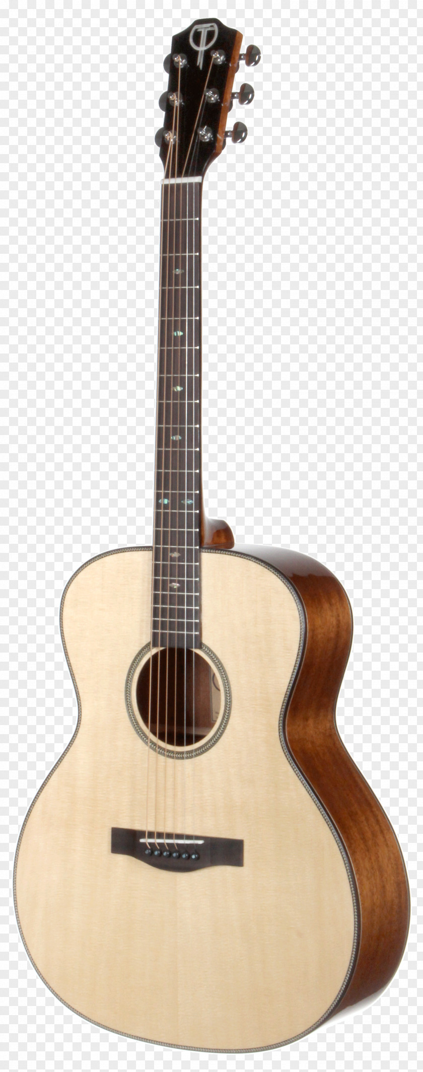 Guitar Steel-string Acoustic Yamaha Corporation C40 PNG