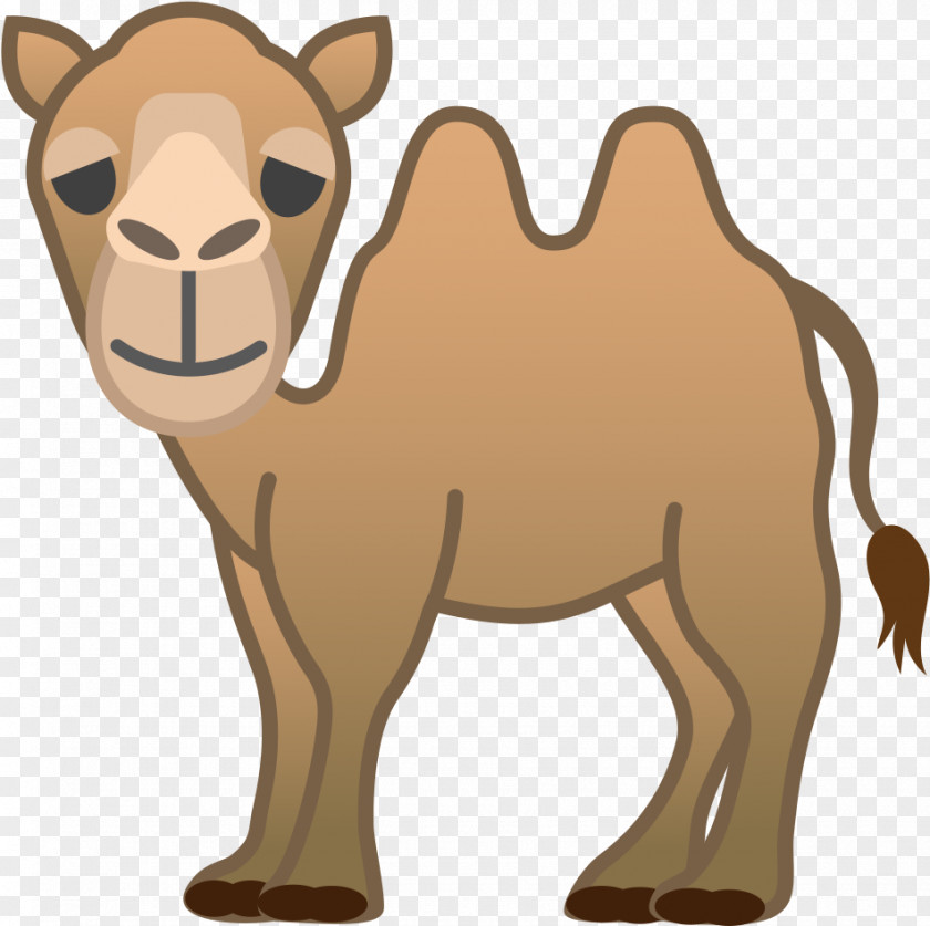 Livestock Bactrian Camel Camelid Arabian Cartoon Brown PNG