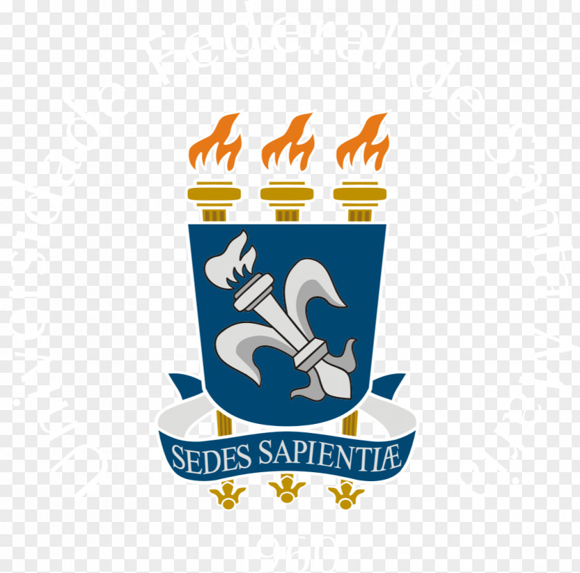 雪 Desktop Wallpaper Logo Person Federal University Of Santa Maria PNG