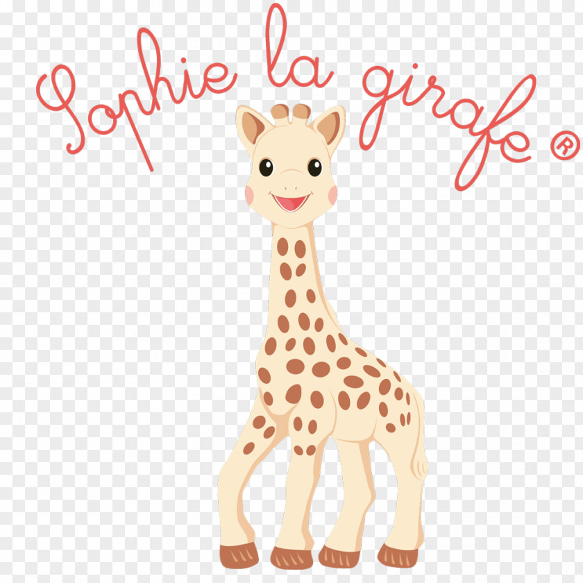 Dressing Table Sophie The Giraffe Infant Teether Teething Child PNG