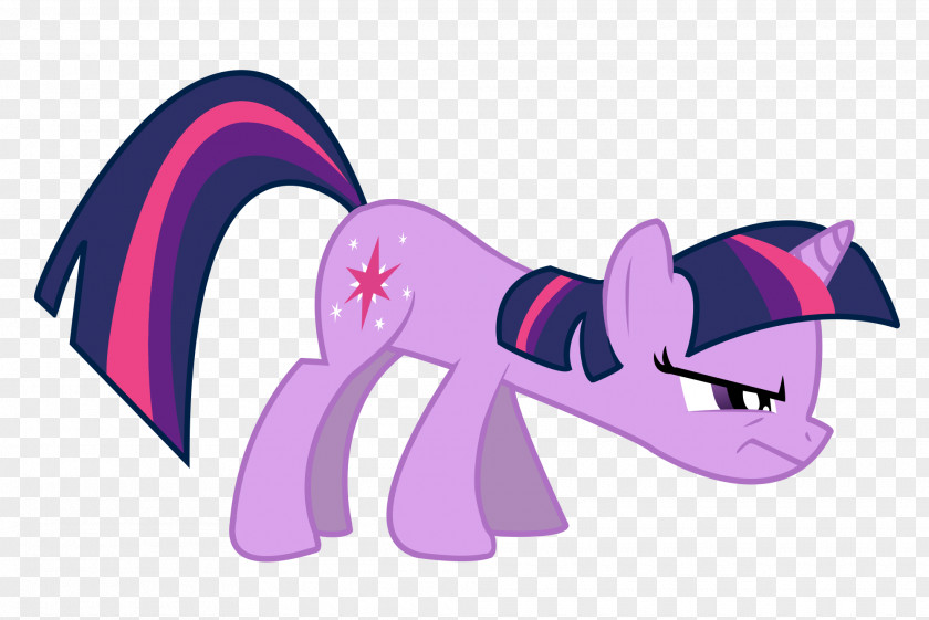 Horse Pony Twilight Sparkle Rarity Rainbow Dash PNG