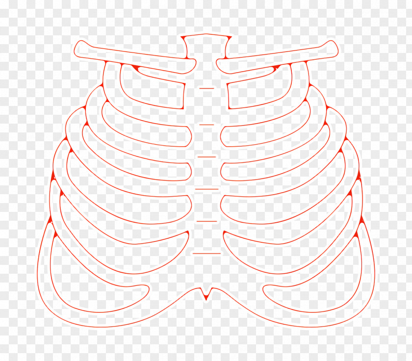 Human Body Parts Icon Ribs Skeleton PNG