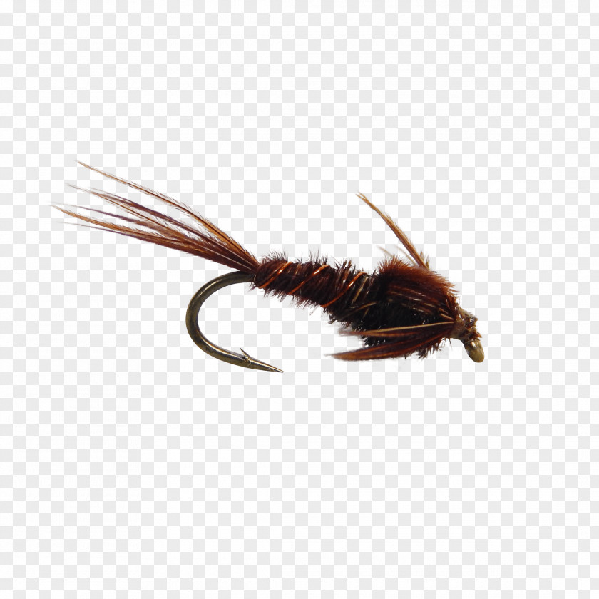 Nymph Artificial Fly Pheasant Tail Fishing Tying PNG