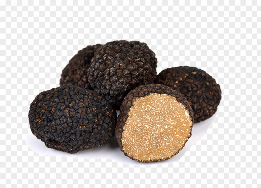 Trufas Chocolate Truffle Tuber Aestivum Périgord Black Acqualagna PNG