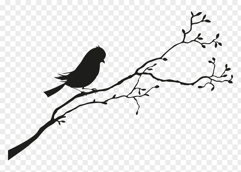 Bird Sparrow Silhouette PNG