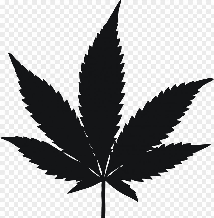 Cannabis Drawing Hemp PNG