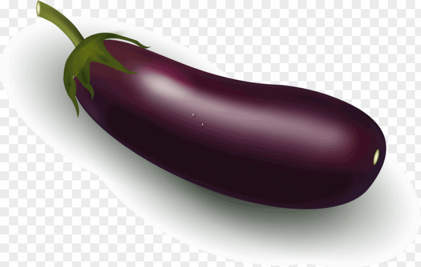 Eggplant Serrano Pepper Jalapeño Fruit Capsicum Annuum PNG