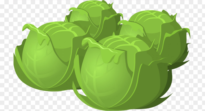 Fascinating Cliparts Red Cabbage Brussels Sprout Vegetable Clip Art PNG