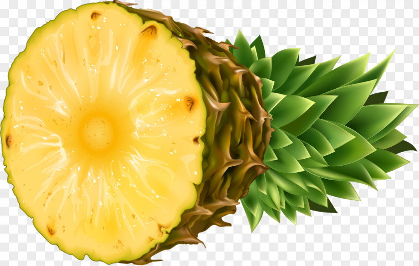 Fruit Pineapple Food Tropical Clip Art PNG