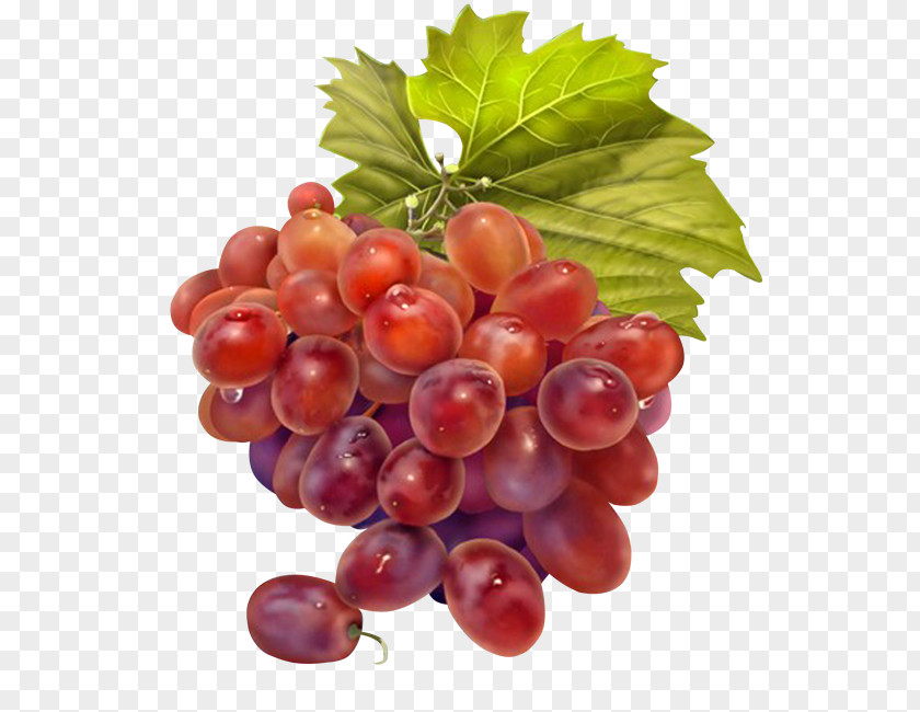 Grape Fruit Drawing Decoupage PNG