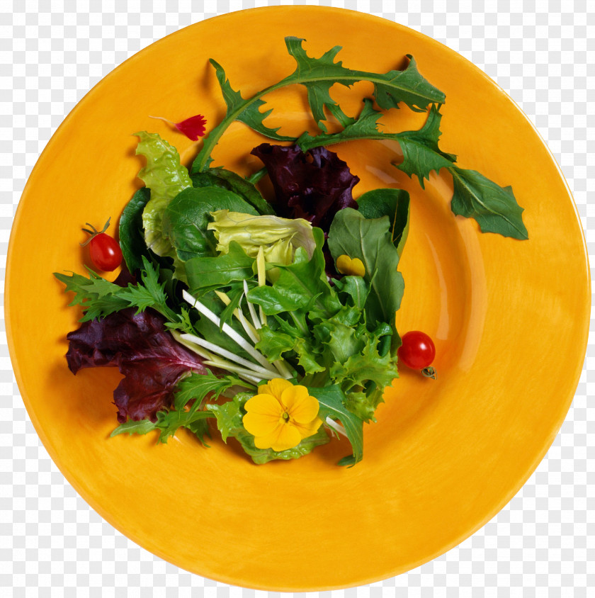Green Salad Torte Butterbrot Cooking Recipe Casserole PNG
