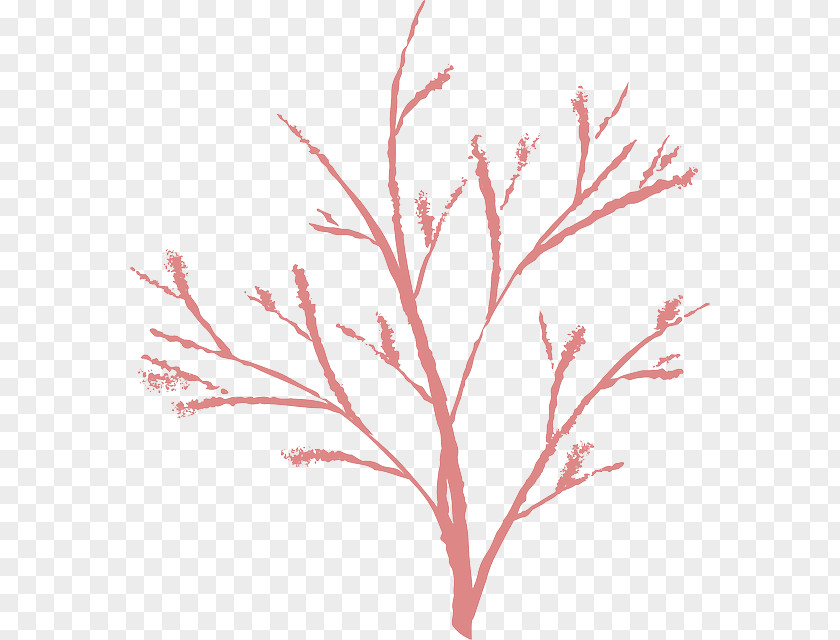 TWIG Tree Clip Art PNG