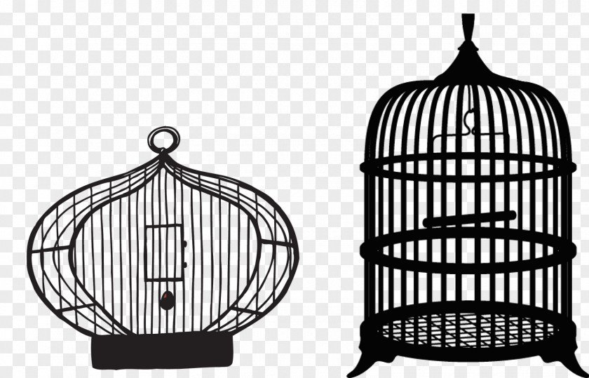 Empty Birdcage Cliparts Parrot Domestic Canary Clip Art PNG