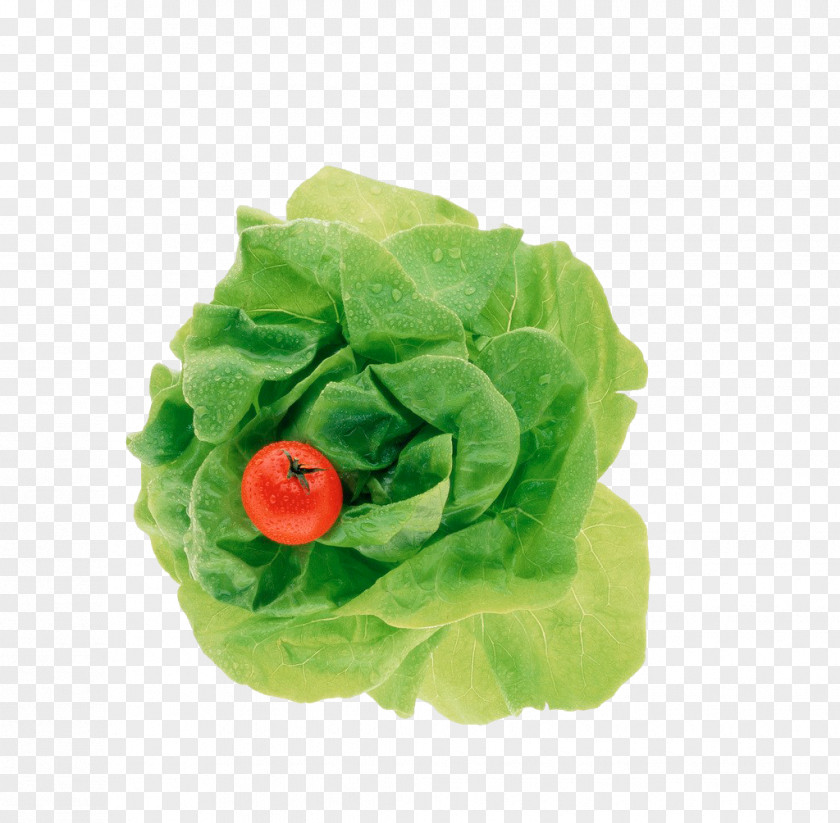 Green Leafy Vegetables Leaf Vegetable Tomato PNG