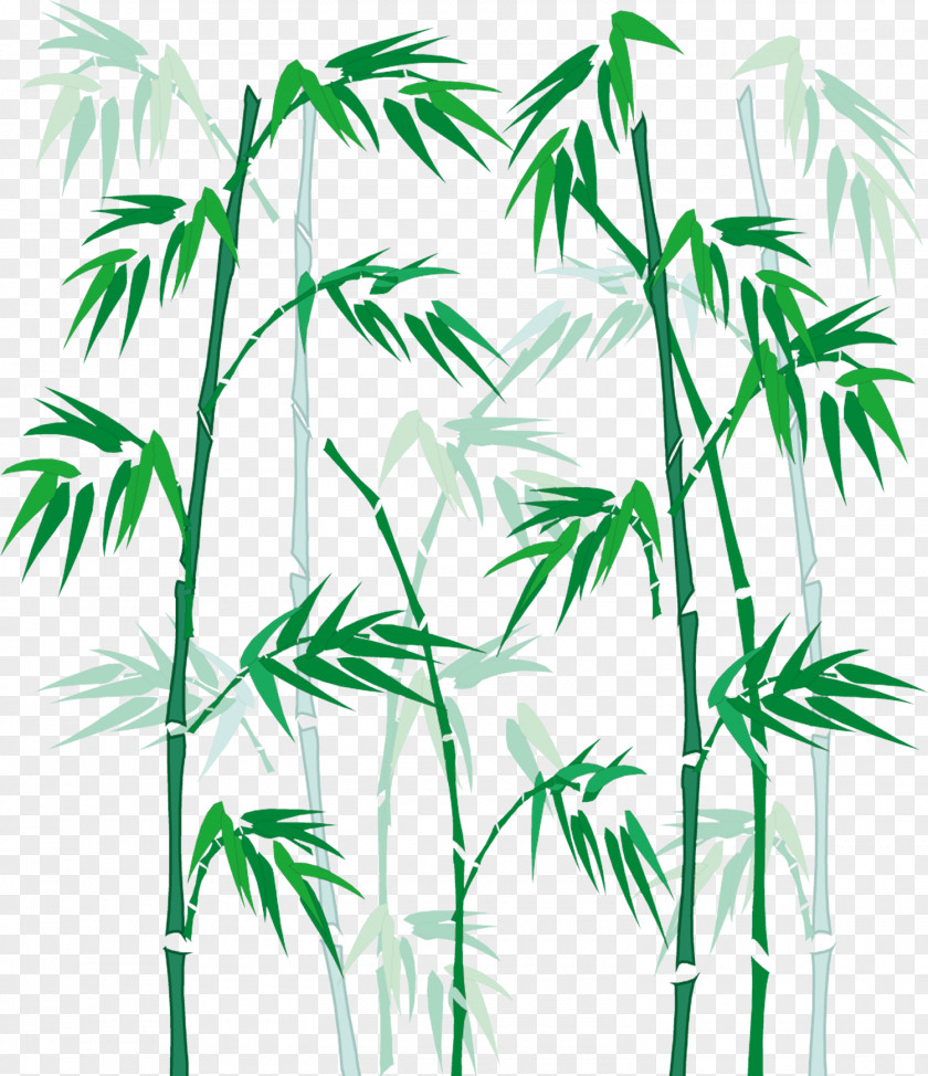 Hand Painted Bamboo 1 Cartoon PNG