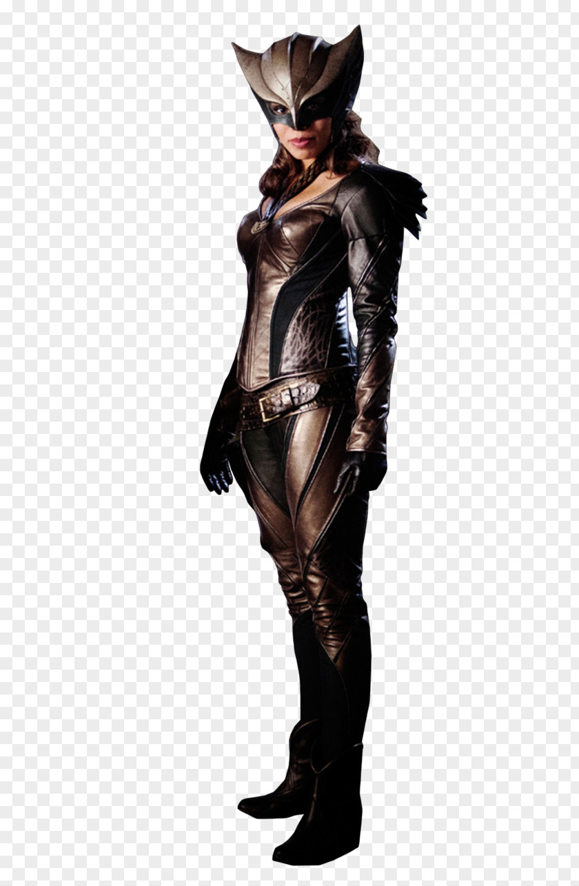 Hawkgirl Hawkman (Katar Hol) Diana Prince PNG
