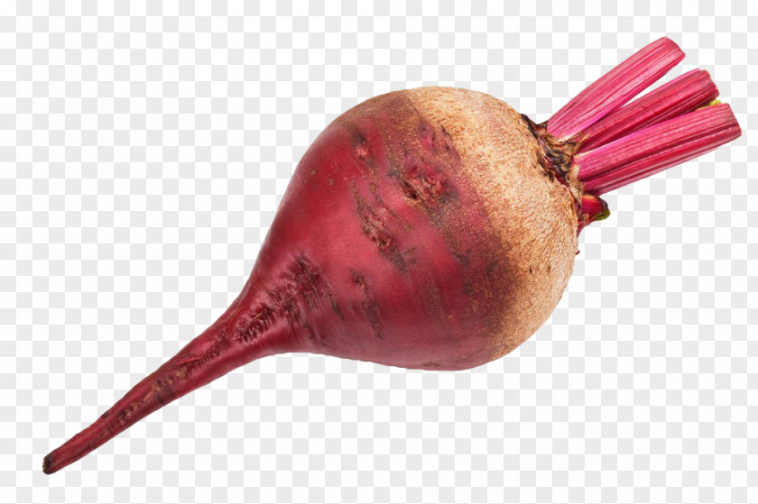 Purple Beet Head Beetroot Chard Vegetable Tomato Stock Photography PNG