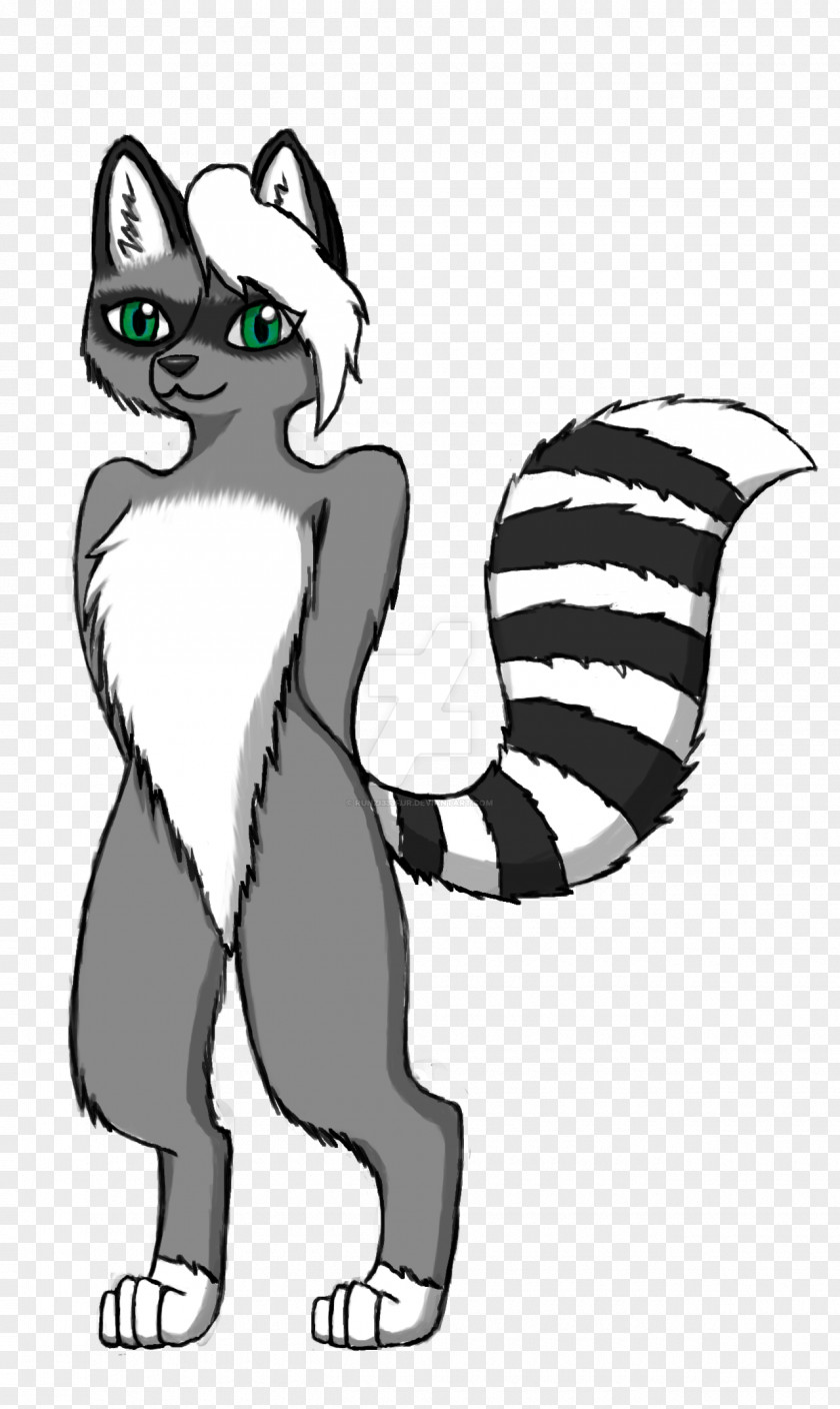 Raccoon Cat Paw Pet Whiskers PNG