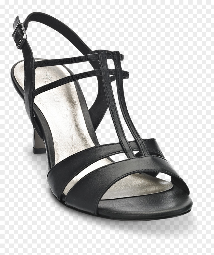 Sandal Shoe PNG