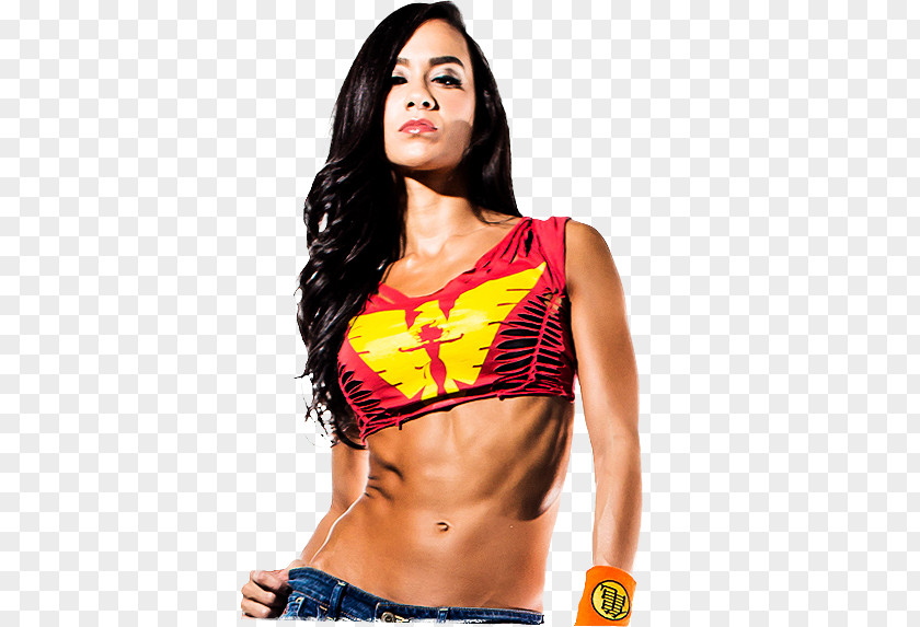 AJ Lee WWE Divas Championship Raw Women In Professional Wrestling PNG in wrestling, wwe clipart PNG