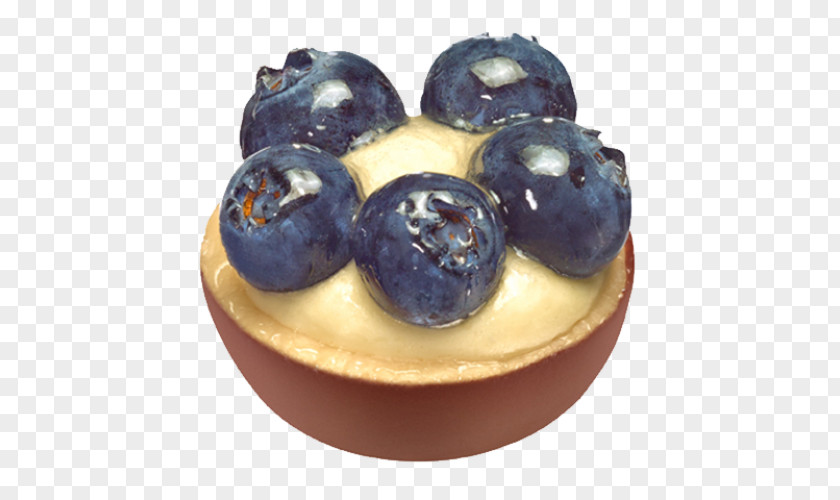 Blueberry Frozen Dessert Superfood PNG