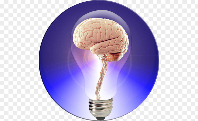 Brain Human Project Your Power The Book PNG