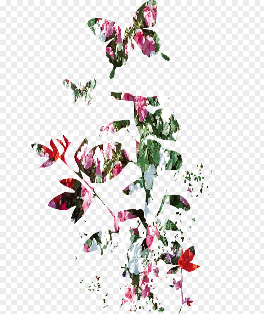Doodles Cut Flowers Floral Design Plant Stem Petal PNG