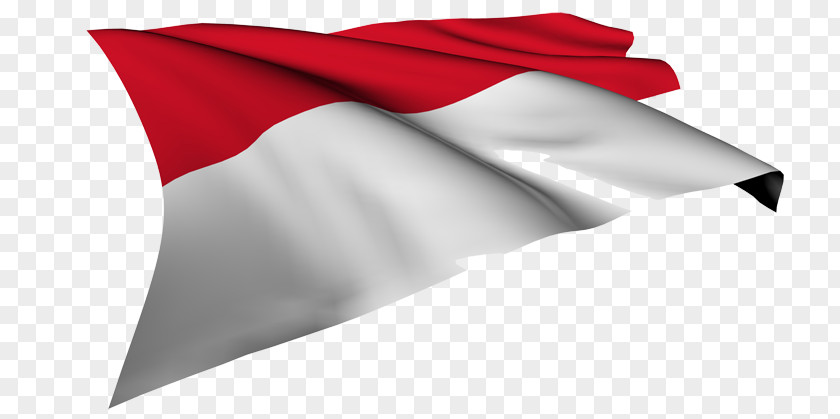Flag Of Indonesia Dwidaya Tunggal Perkasa Stock Photography Flags The World PNG