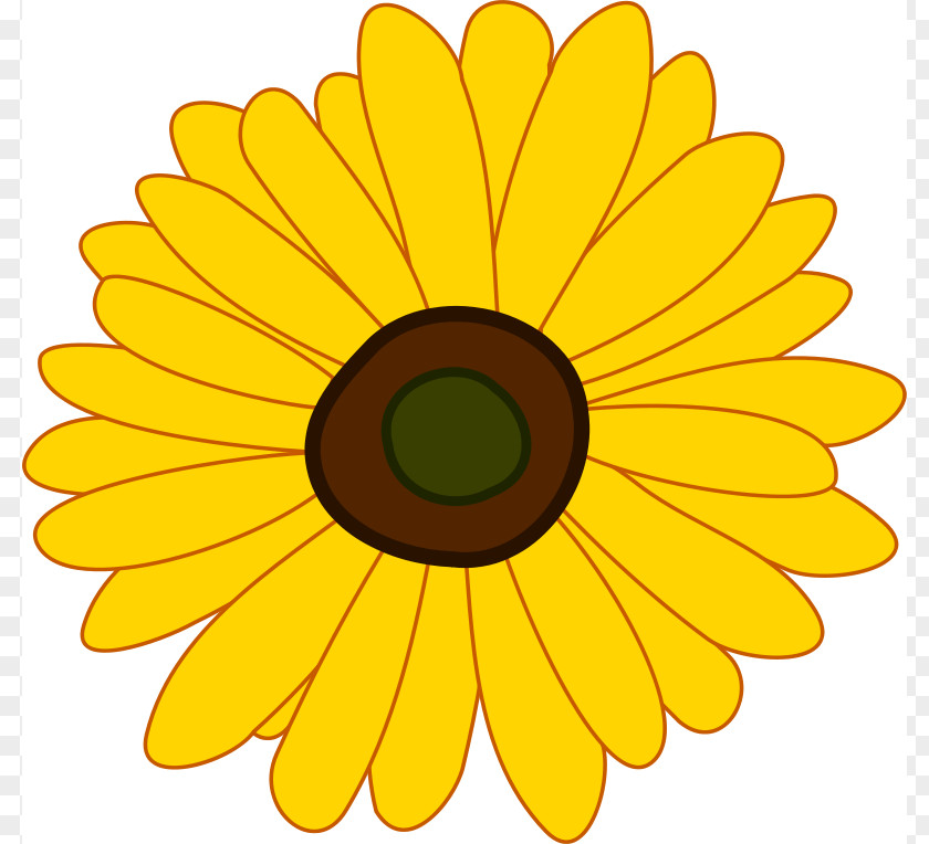 Flower Clip Art Common Sunflower PNG