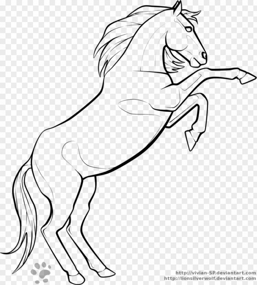 Galloping Horse Arabian Mustang American Quarter Friesian Rearing PNG