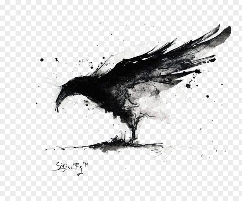 Painting Common Raven Abstract Art Canvas PNG