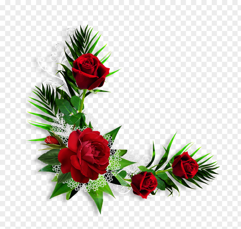 Red Rose Photomontage Idea PNG