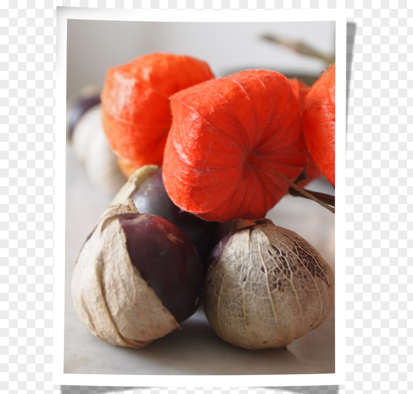 Tomatillo Winter Squash Vegetarian Cuisine Superfood Fruit PNG