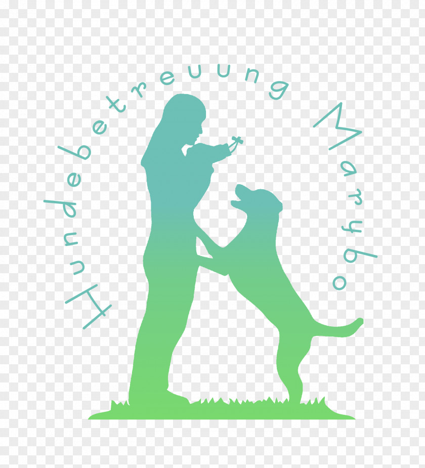Border Collie Labrador Mix Retriever Rough Mammal Dog Training PNG