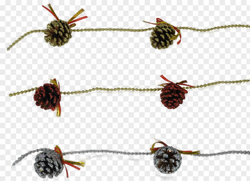 Insect Jewellery .com PNG