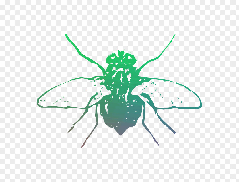 Insect Pollinator Membrane PNG