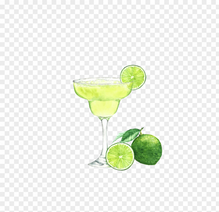 Lemon Juice Gimlet Margarita Gin And Tonic Cocktail Garnish PNG