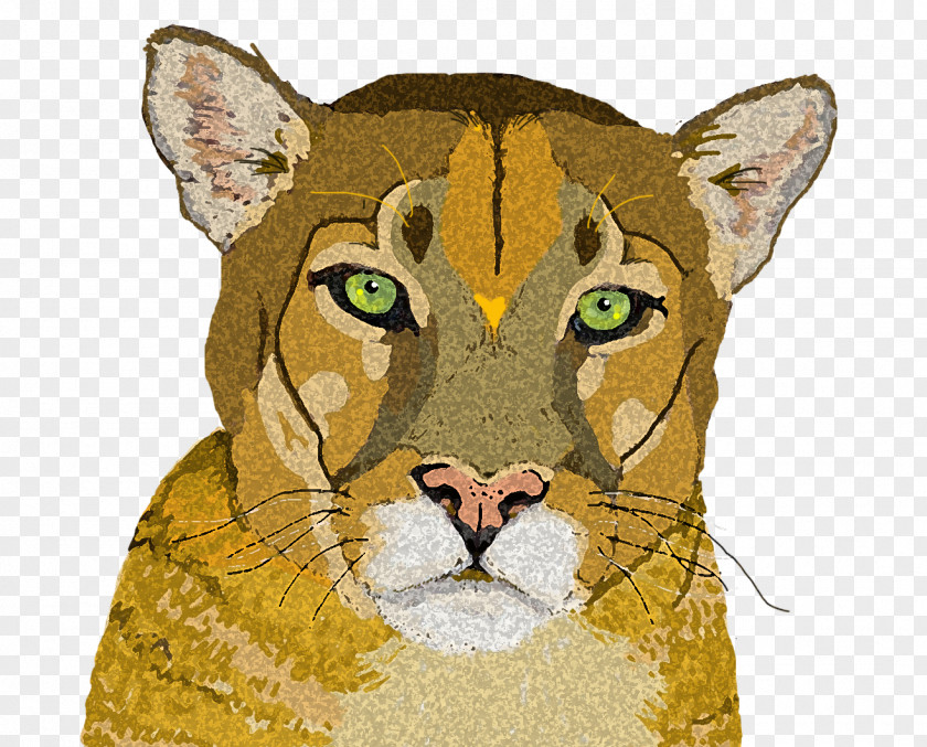 Lion Whiskers Cougar Cat Snout PNG