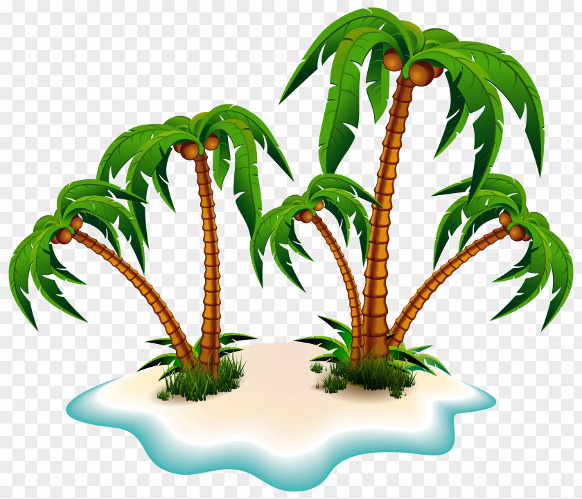 Palm Trees And Island Clipart Picture Arecaceae Tree Clip Art PNG