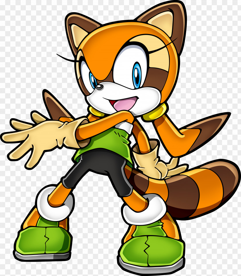 Raccoon Sonic Rush Adventure The Hedgehog Tails Cream Rabbit PNG