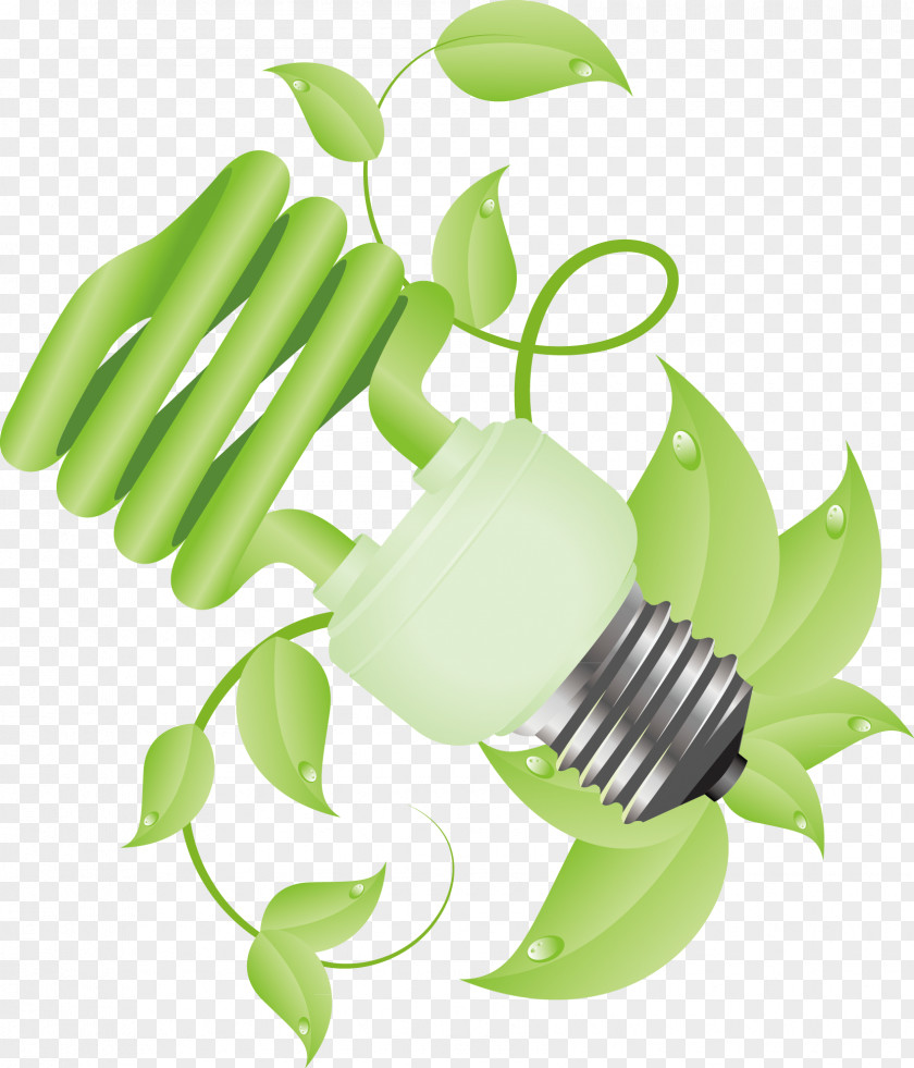 Bulb Decoration Design Vector Graphic Clip Art PNG