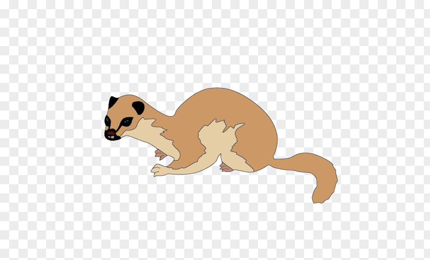 Cat Whiskers Mongoose Canidae The 86 Biggest Lies On Wall Street PNG
