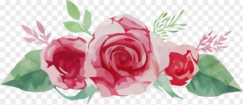 Floral Design PNG