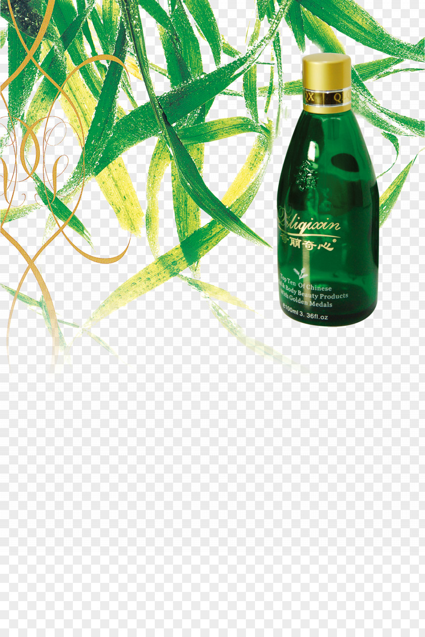 Green Natural Organic Essential Oils Oil Cosmetics Guerlain Perfume PNG