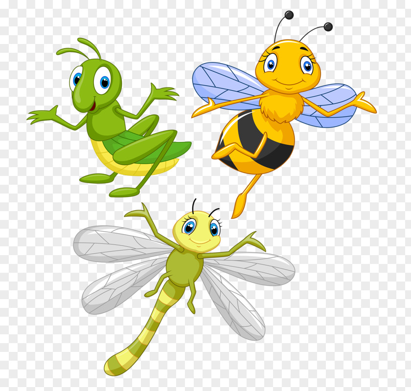 Insect Honey Bee Clip Art Illustration Image PNG