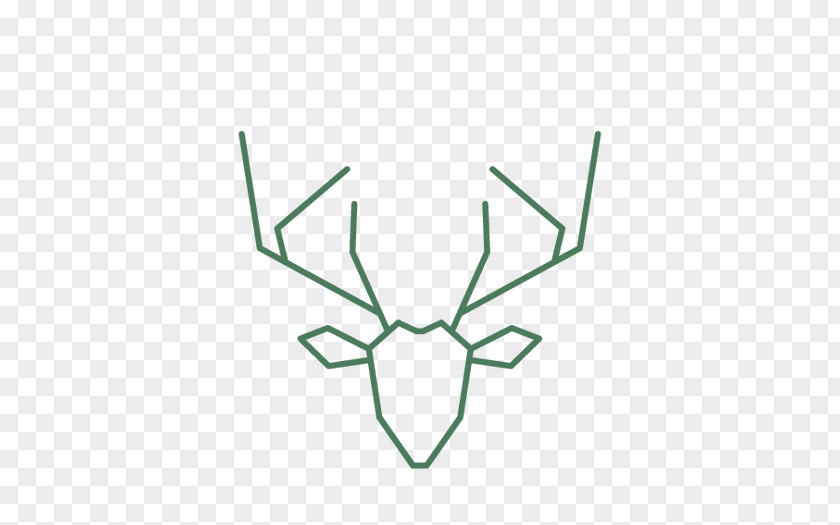 Line Antler Angle Clip Art PNG