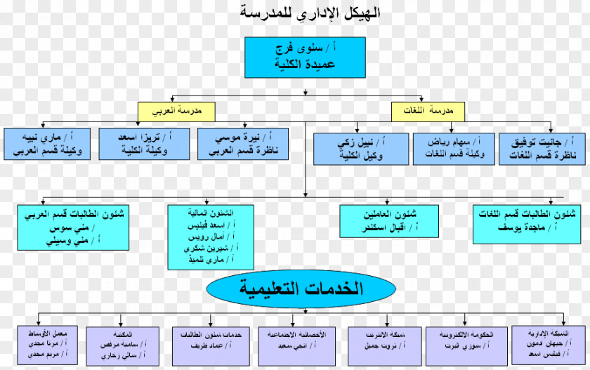 Line Organization Angle PNG