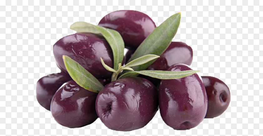 Olive Stock Photography Cranberry PNG