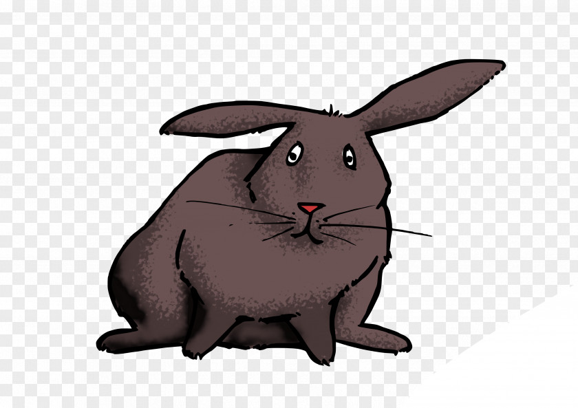 Rat Domestic Rabbit Hare Whiskers Dog PNG