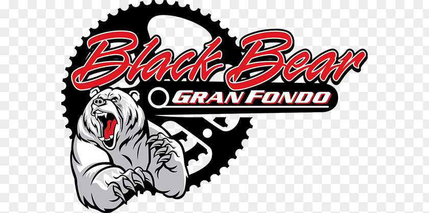 Bear Black Gran Fondo 2018 In Grayling American Hibernation PNG